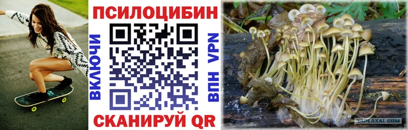 Псилоцибиновые грибы прущие грибы маркетплейс формула Омск OMG ссылка